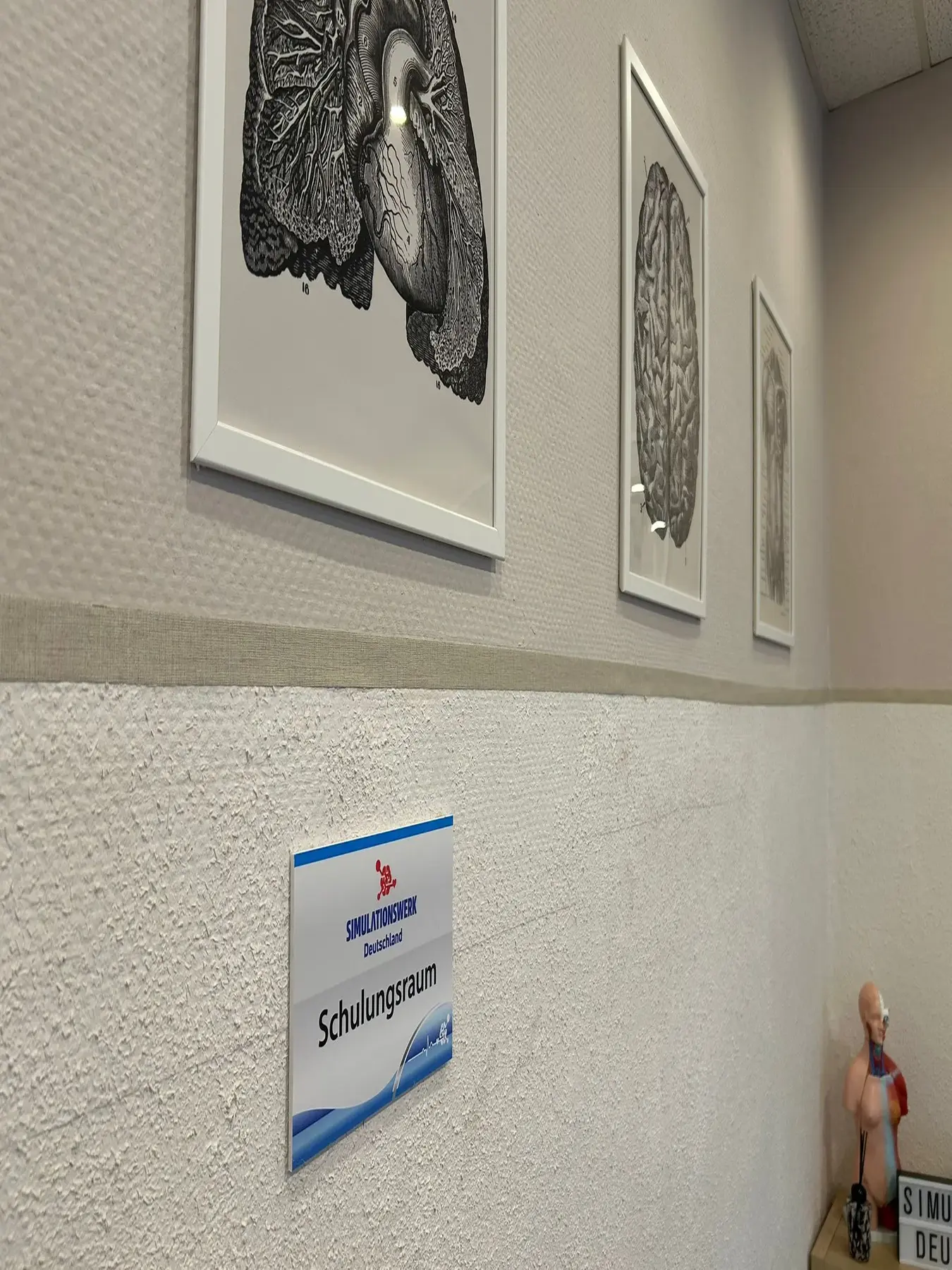 Innenraum eines medizinischen Schulungsraums mit anatomischen Wandillustrationen von Herz, Gehirn und Körper sowie einem Anatomiemodell auf einem Tisch.